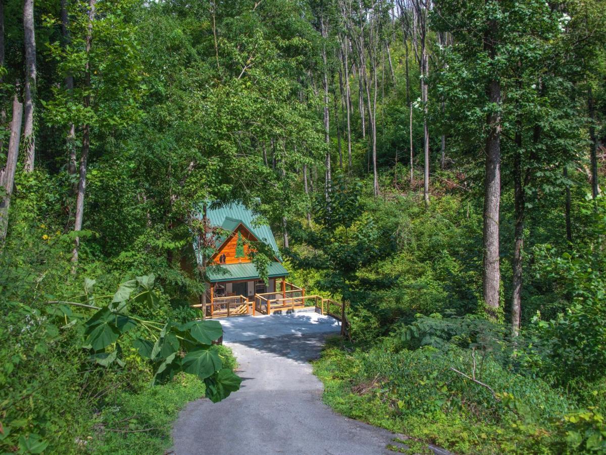 Вилла Bearly Hidden Гатлинбург Экстерьер фото